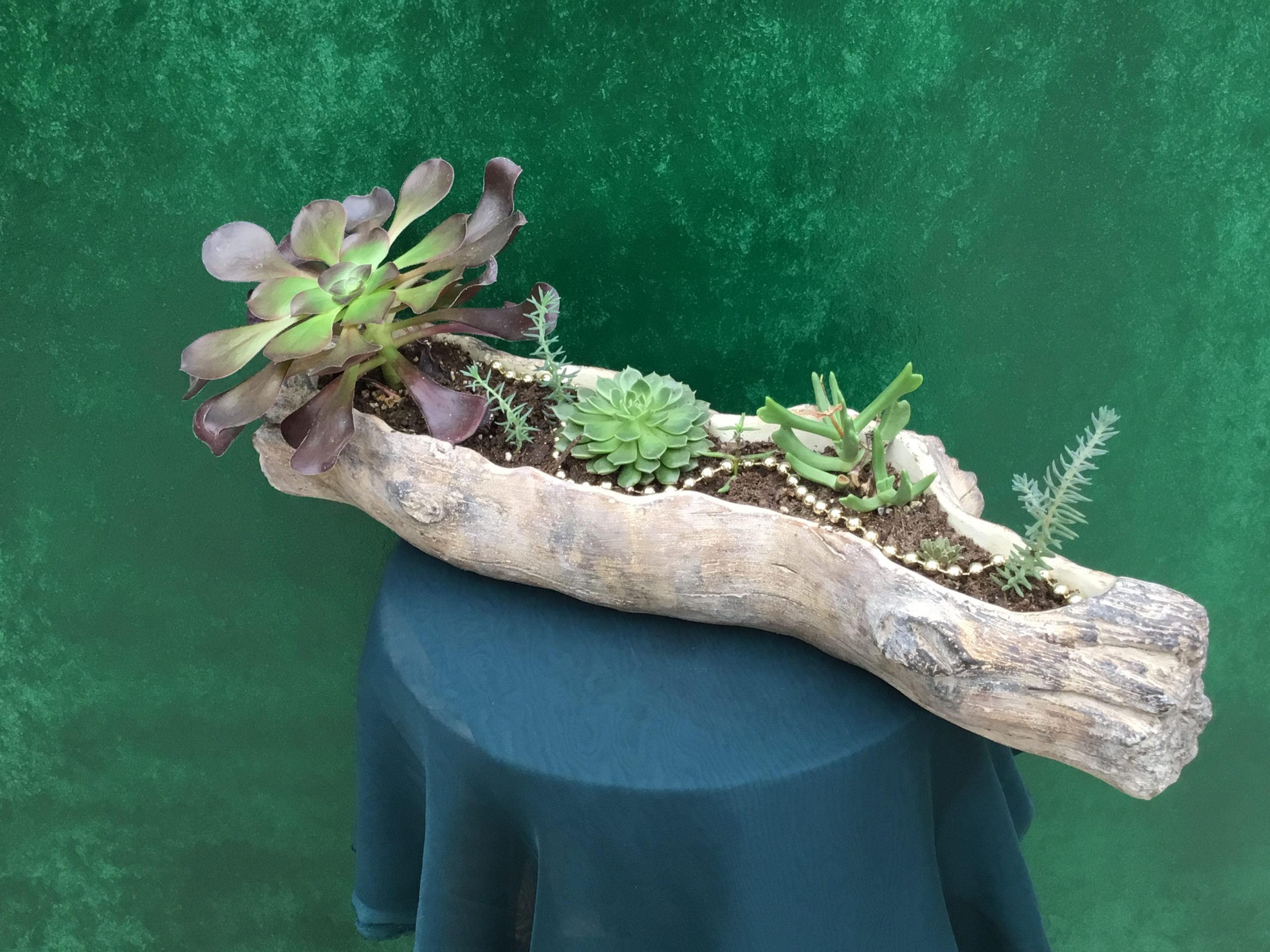 Plant Show Inventory-43